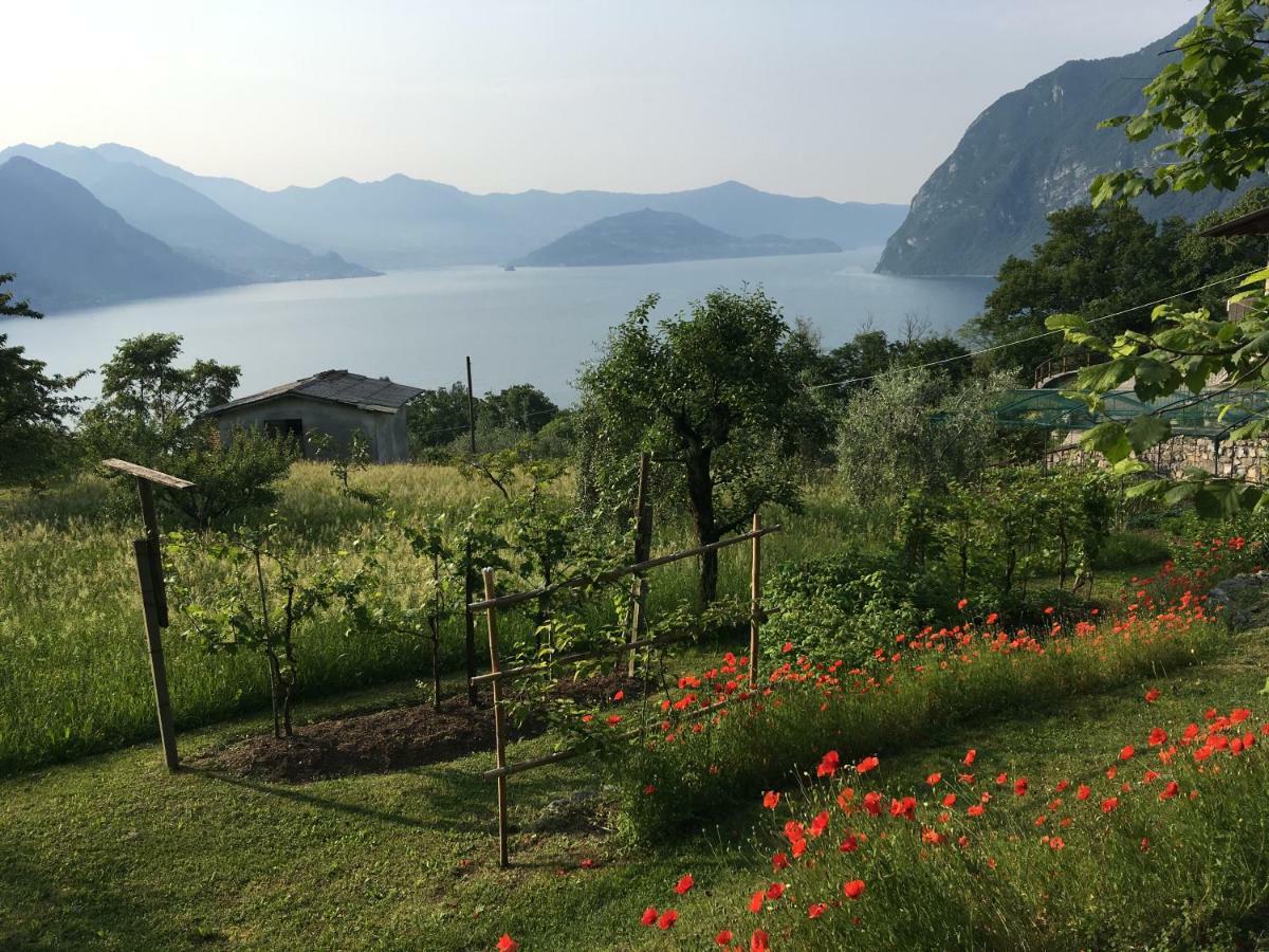 Irina'S House With View On Like And Swimming Pool Daire Riva di Solto Dış mekan fotoğraf